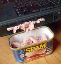 spam notebook