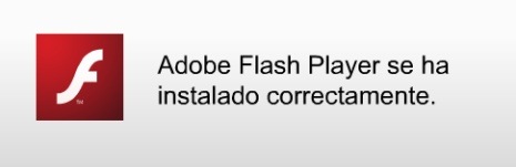 flash player